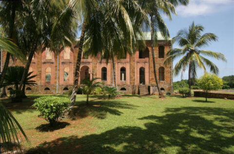 Le petit Cayenne