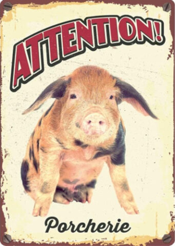 Le gouvernement des porcs